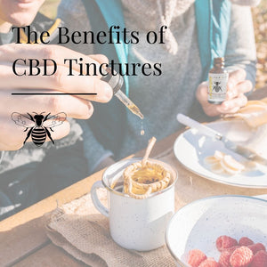 The Benefits of CBD Tinctures