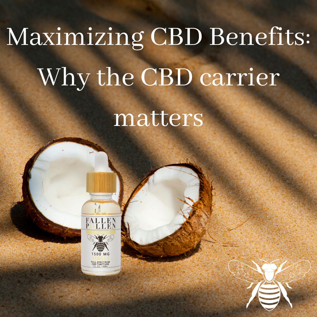 Maximizing CBD Benefits: Why the CBD Carrier Matters.