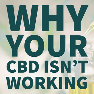 Why Your CBD Isn't Working